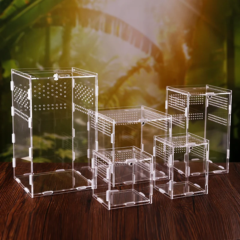 Animal and Plant Feeding Box Exhibition Reptile Habitat-Insect Acrylic Breeding Case |