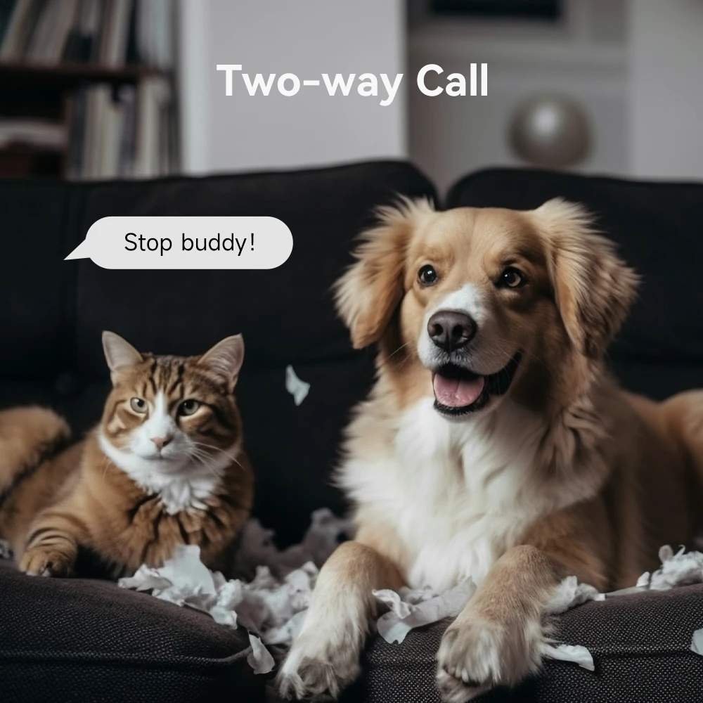 Рисунок 6 - Камера видеонаблюдения IMILAB C22