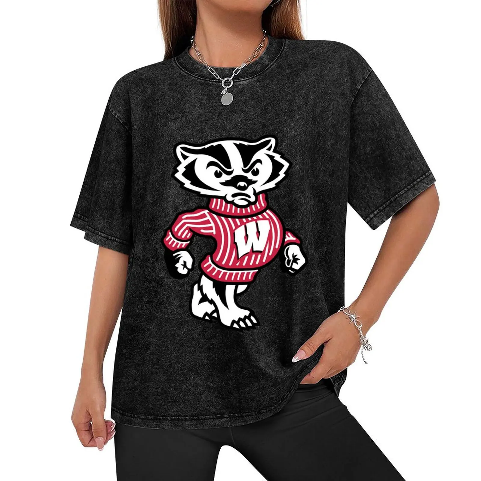 Футболка Wisconsin Badgers мужская футболка на заказ винтажная с рисунком для мужчин