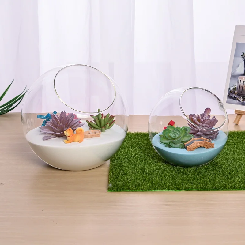 

8/10/12CM Clear Glass Ball Vase Micro Landscape Glass Vase Succulent Plant Terrarium Container Flower Pots DIY Home Decoration