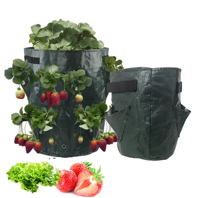 

2022Jmt5 7 10 Gallon PE Strawberry Planter grow Bags potato pot gardening pots home jardin Flower veg Tomato planting tools Cont
