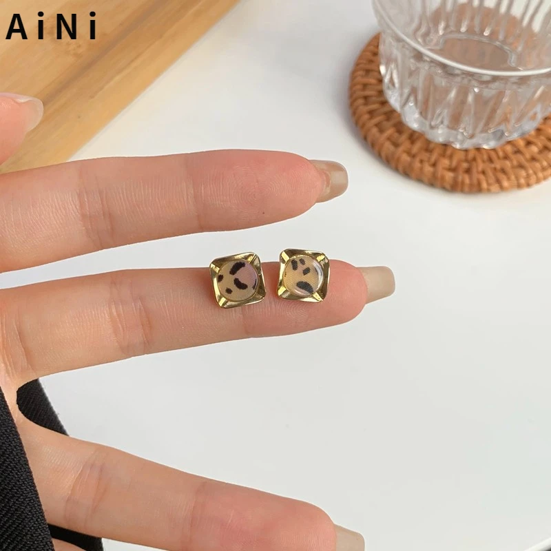 

925 Silver needle Women Jewelry Leopard Grain Earrings 2021 New Design Geometric Resin Stud Earrings For Women Accessories