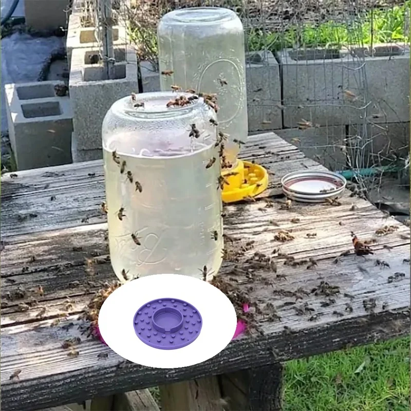 Кормушка для пчел Base обычной горловины Mason Jar станция полива пчелы основание сада