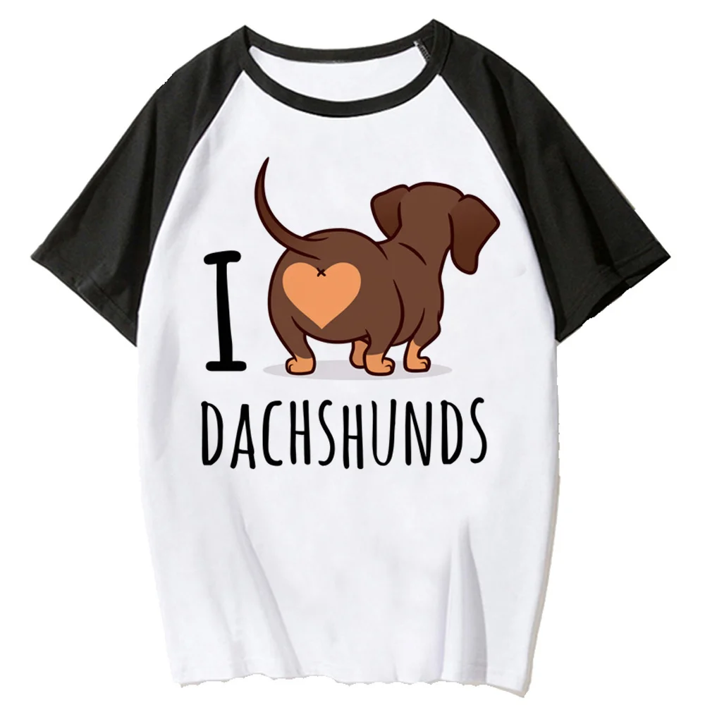 

dachshund