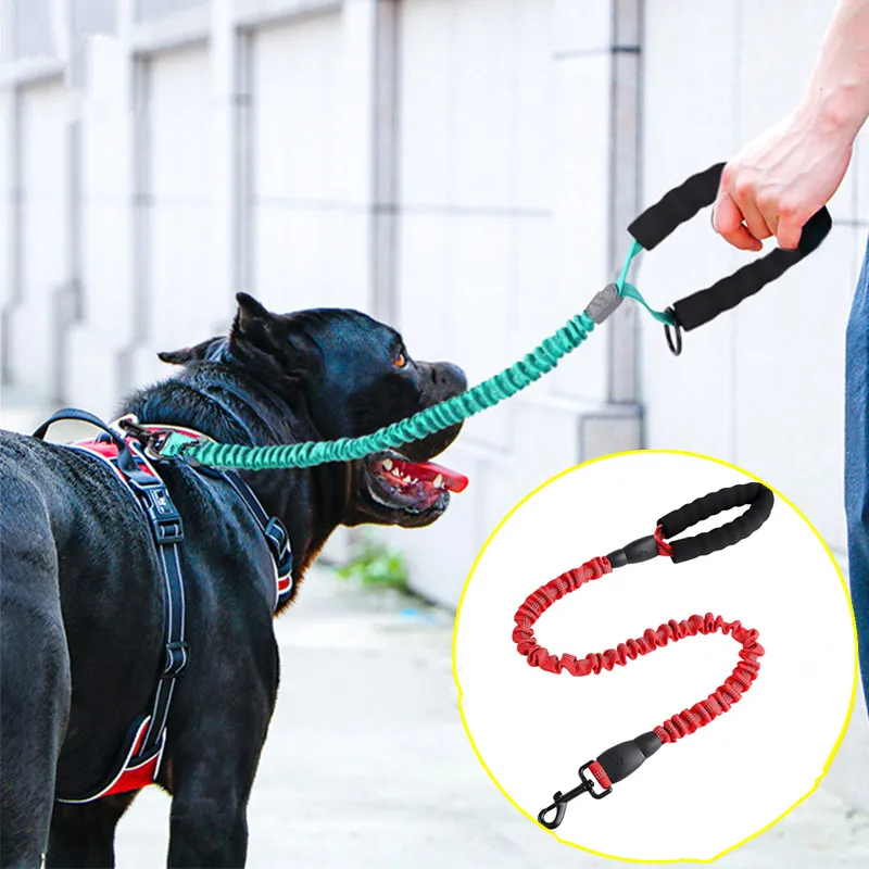 

Dog Leash Elastic Leashes for Large Dogs Walking Nylon Reflective Dog Leash Comfortable Handle Dogs Leashes Pet Chain Pet Walker
