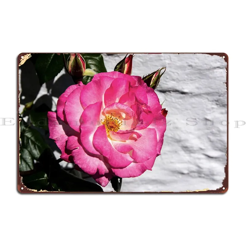

Pink Rose Metal Sign Bar Wall Decor Club Personalized Poster Tin Sign Poster