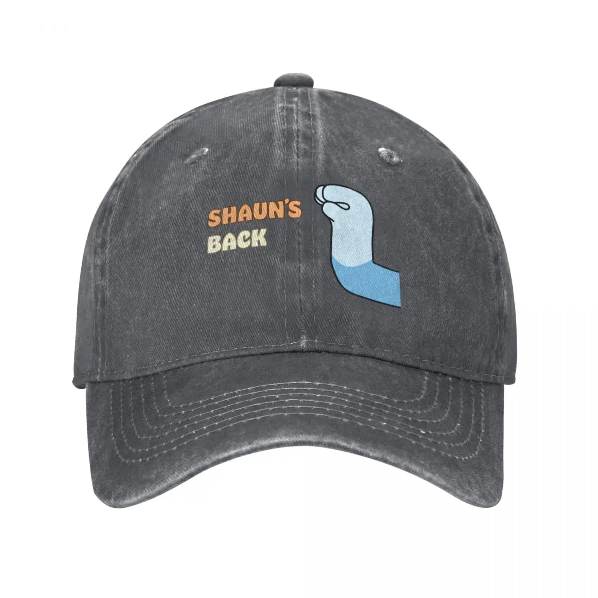 Бейсбольная кепка Shaun's Back Snapback Кепка для регби Мужские шапки Женские