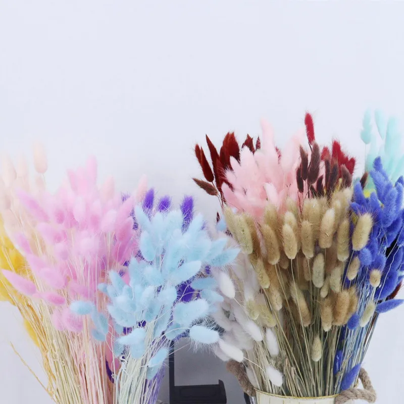 

30Pcs 45Cm pampas Natural Dried Flowers Reed Rabbit Tail Grass Bunch Real Flower Bouquet Pampas Grass Family Wedding Decoration