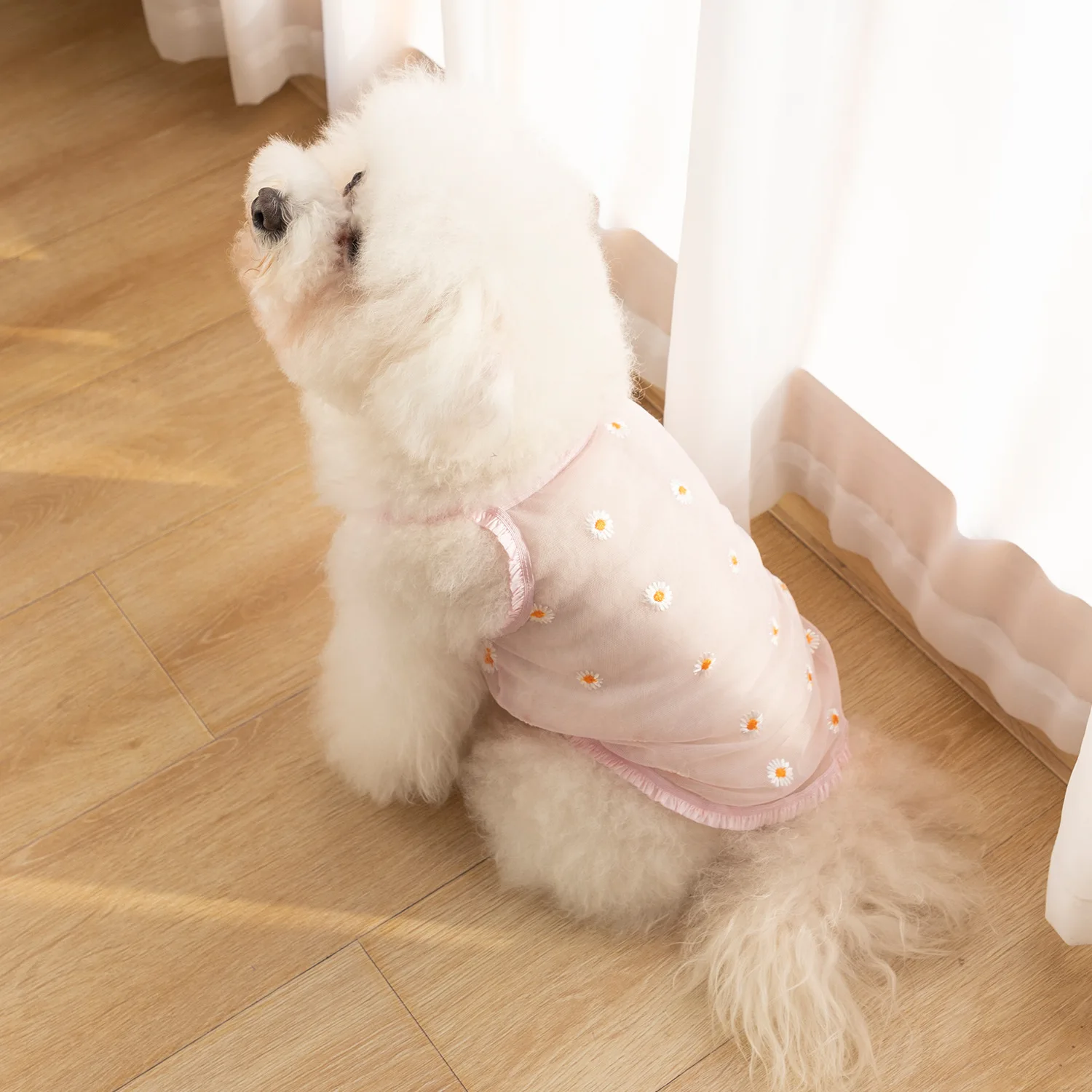 

New Japan and South Korea new pet dog lovely suspender skirt spring and summer Daisy mesh breathable thin princess skirt