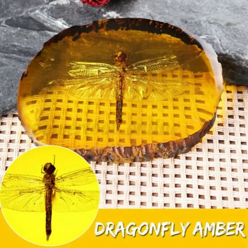 

1 PCS Amber Fossil Insects Dragonfly Manual Polishing Insect Ornaments Home Decor