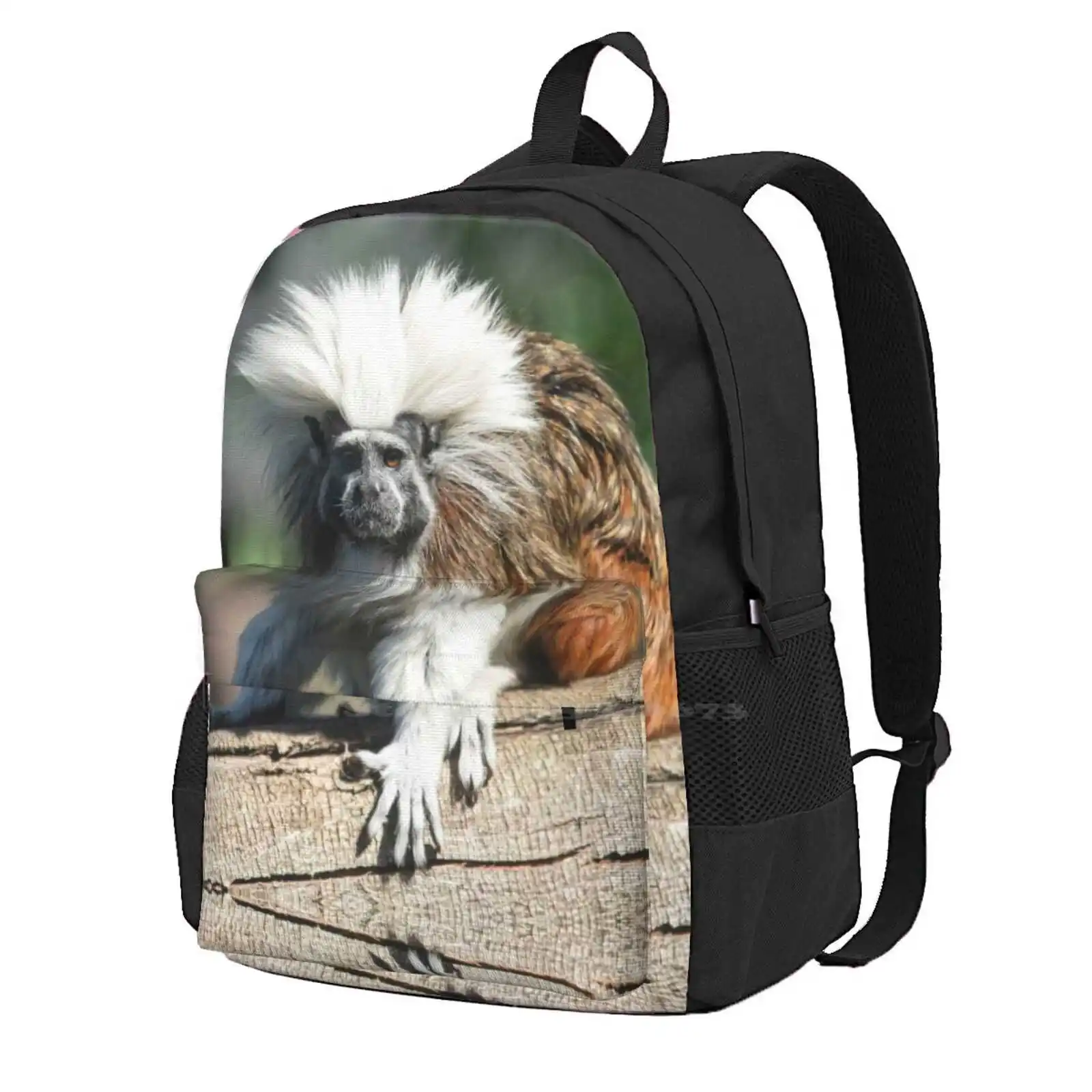 

Punk Monkey Teen College Student Backpack Laptop Travel Bags Monkey Cotton Top Tamarin