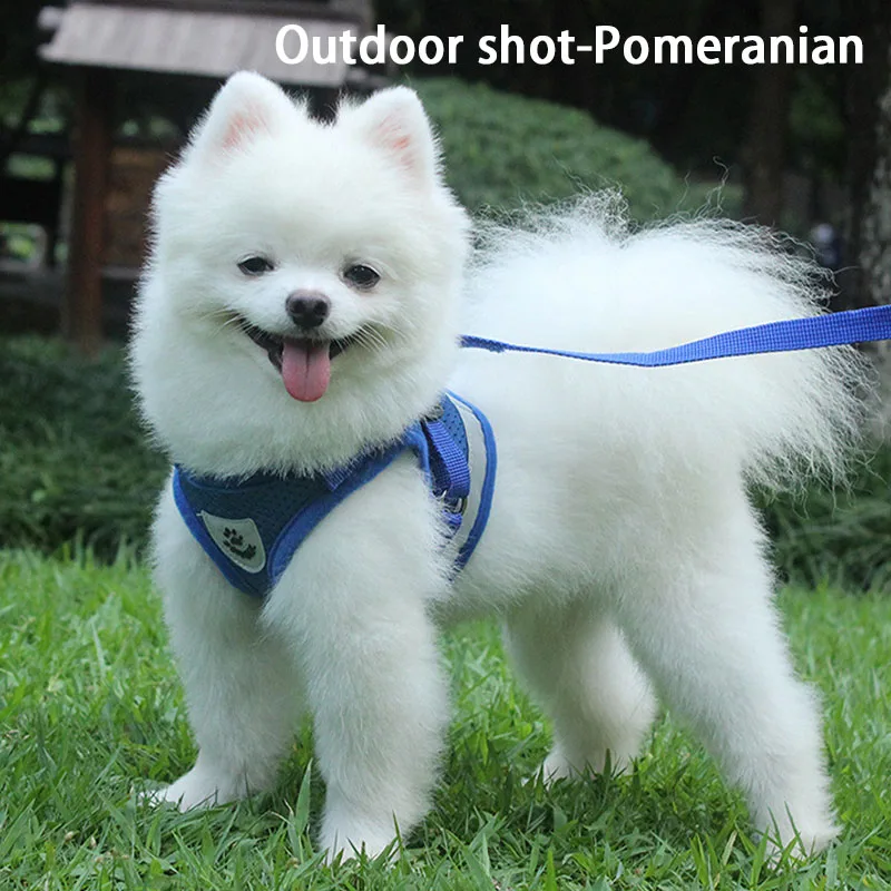 

Pet Collars, Harnesses & Leads Chest Harness Vest Type Traction Rope Small Dog Walking Dog Night Reflective Chest Harness