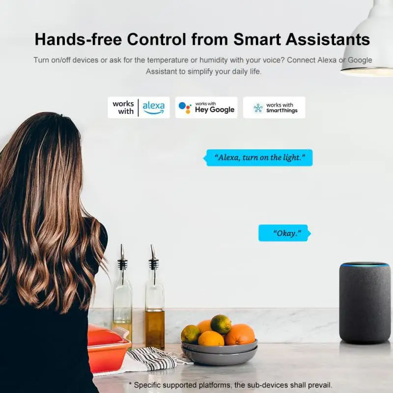 SONOFF ZB Bridge-P Zigbee Bridge Pro двухпротокольный шлюз Wi-Fi ZigBee Поддержка приложения Ewelink