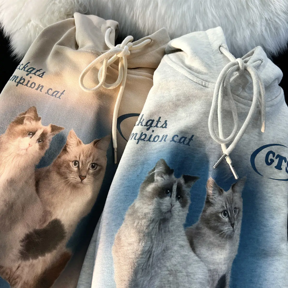 Рисунок 2 - Осенняя американская ретро-толстовка с котом