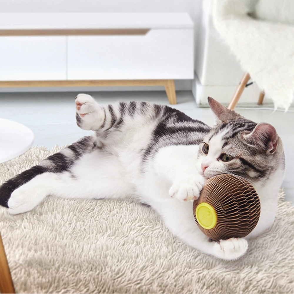 

Cat Toys Interactive Mental Physical Training Catnip-filled Balls Natural Instincts Premium Material Cat Ball Toy