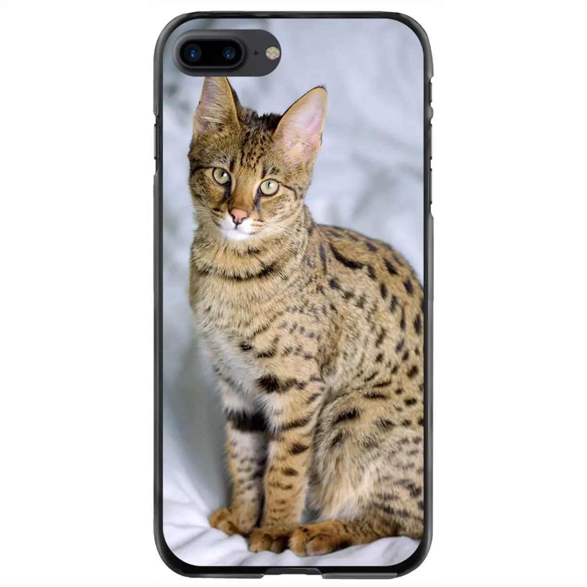 

Жесткий чехол для телефона с котом для iPhone 11 12 13 14 Pro MAX Mini 5 5S SE 6 6S 7 8 Plus 10 X XR XS