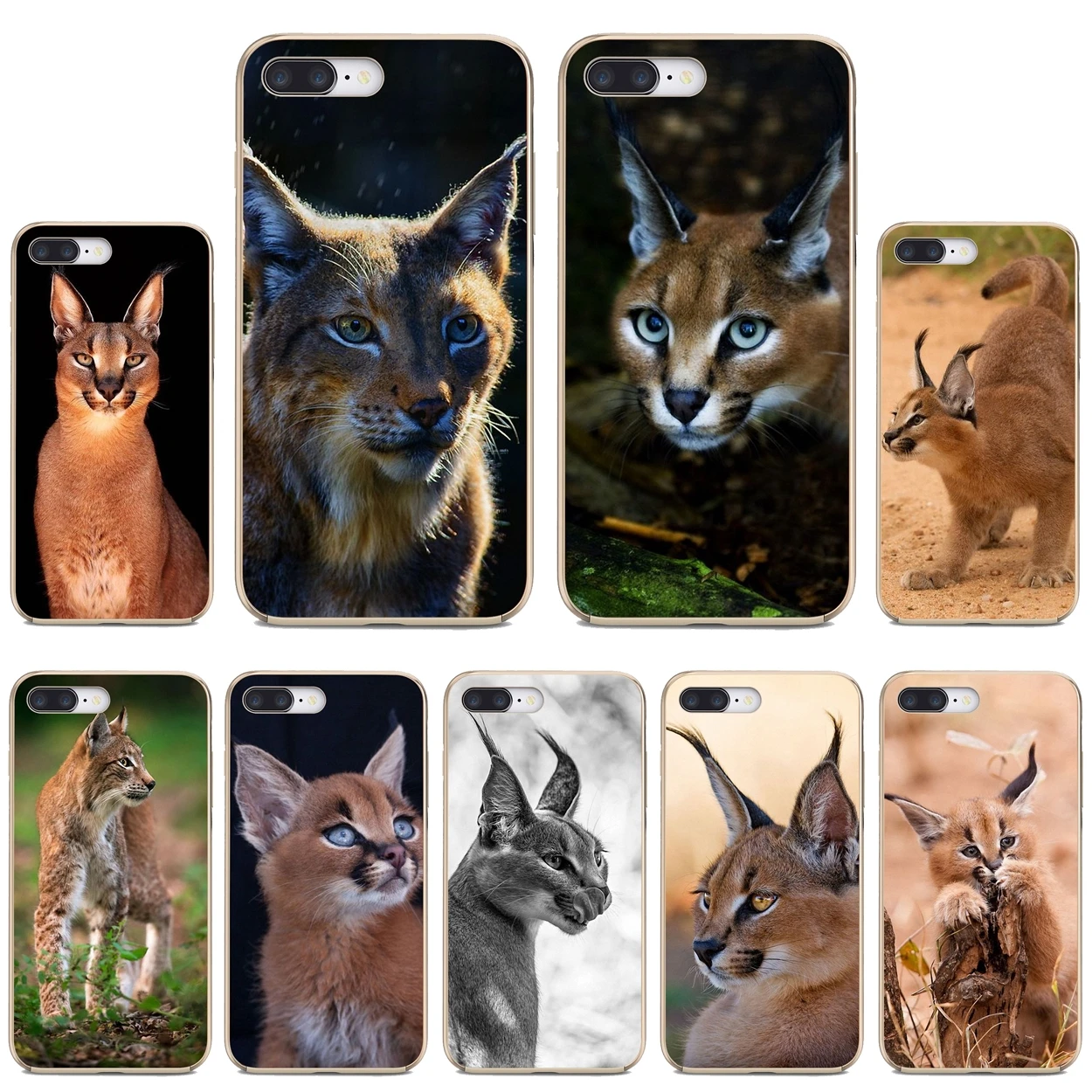 For Xiaomi Pocophone iPod Touch 6 5 F1 For Samsung Galaxy Grand Core Prime Ultra Thin Case Africa-Lynx-Caracals-kitten-Poster