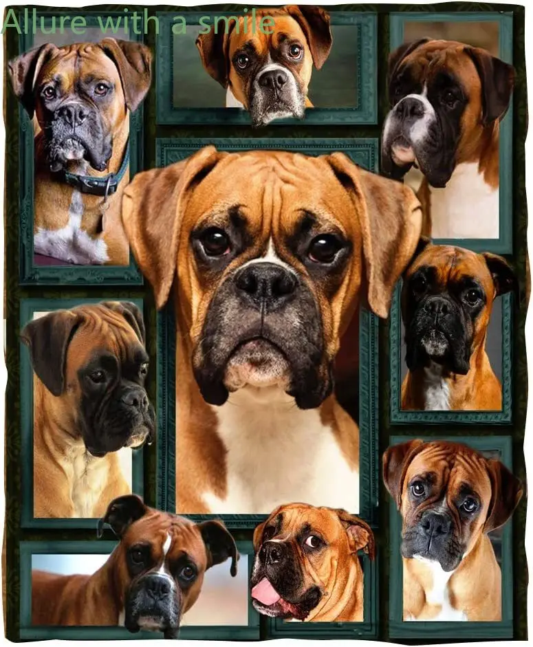 

ChriHome Flannel Blanket 3D Boxer Dog Super Soft Bedding Couch Sofa Throw Blanket Plush Cozy Office Nap Air Travelling Portable
