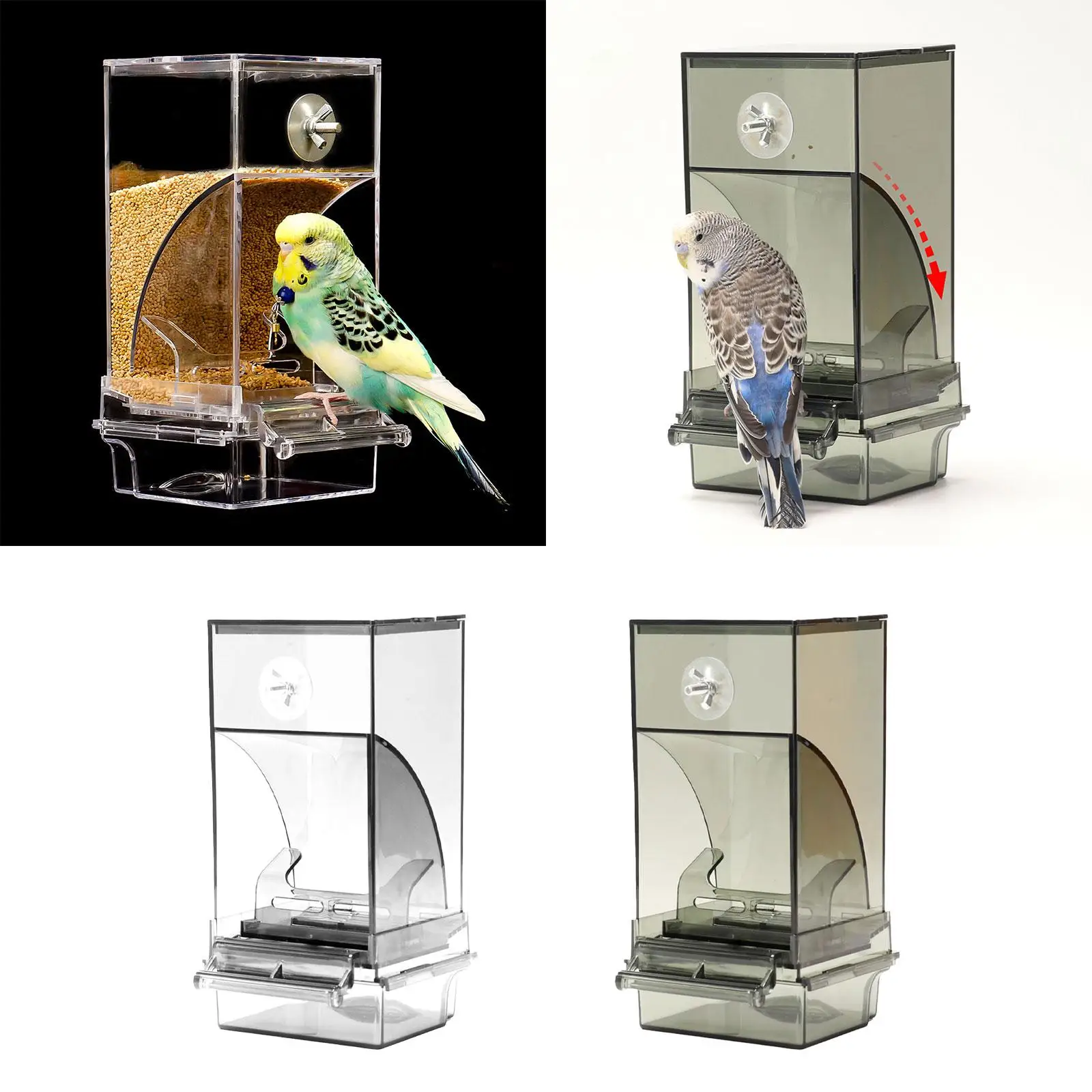 Automatic Feeder for Parrots with Perch And Clear Food Holder Budgerigar Finch