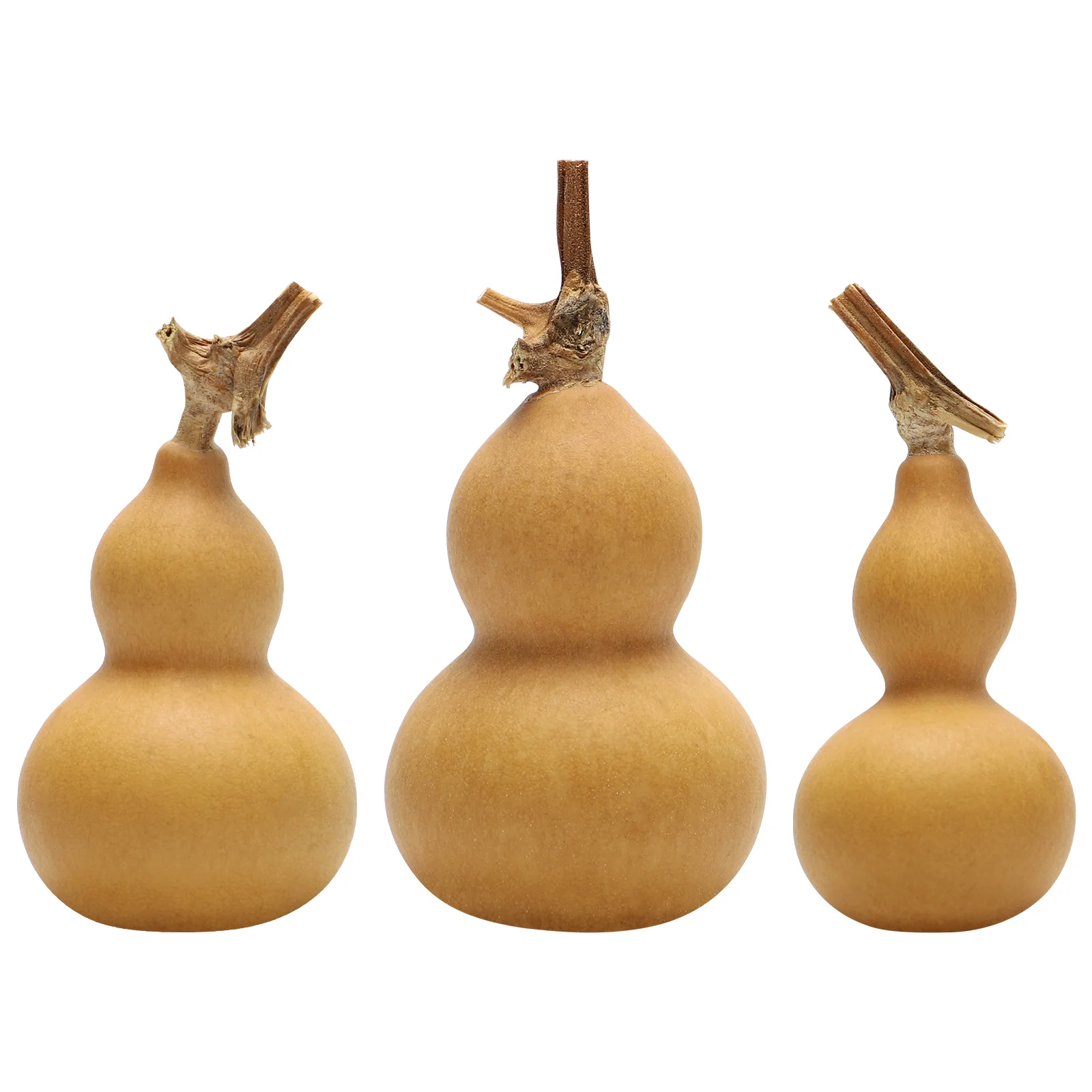 

3 Pcs Calabash Adornment Home Décor Natural Gourd Decor Desktop Gourd Decoration Thanksgiving Decorations Home