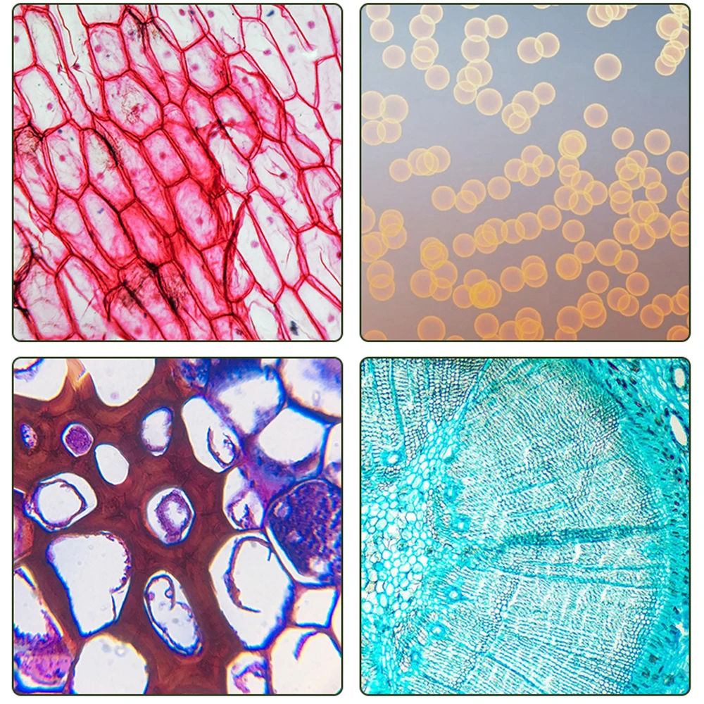 PL L 2.5X/5X/10X/20X/40X/50X/60X/80X/100X длинное рабочее расстояние бесконечный