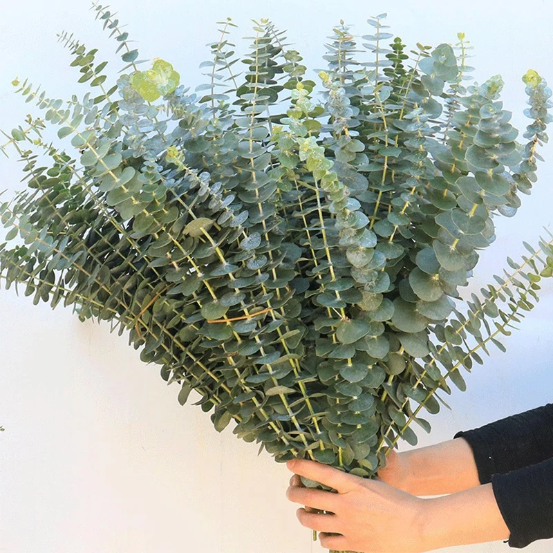 Искусственные листья эвкалипта искусственные ветви растения для рукоделия