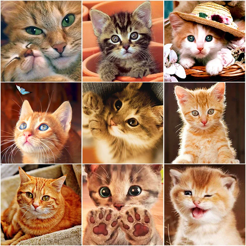 Полноразмерная/круглая алмазная живопись с кошками милые животные наборы для