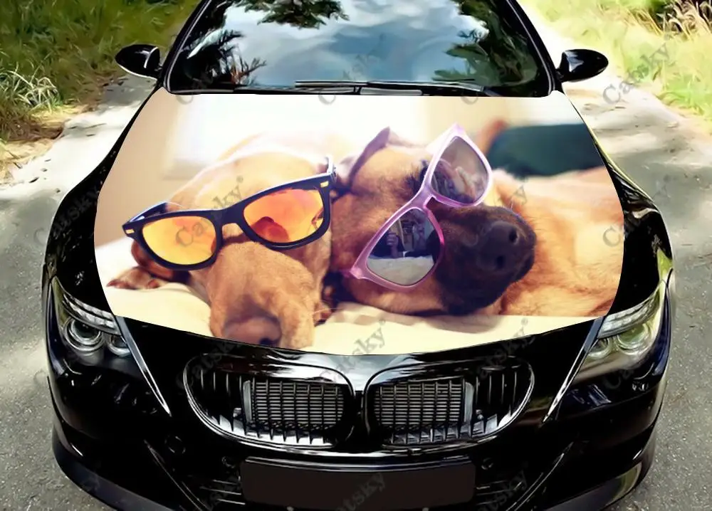 

Виниловые наклейки на капот автомобиля с изображением животных и собак, виниловая пленка, наклейки на крышку двигателя, универсальная защитная пленка на капот автомобиля