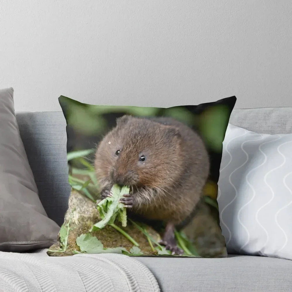 Декоративная подушка с водяным шаром роскошный декоративный чехол для гостиной