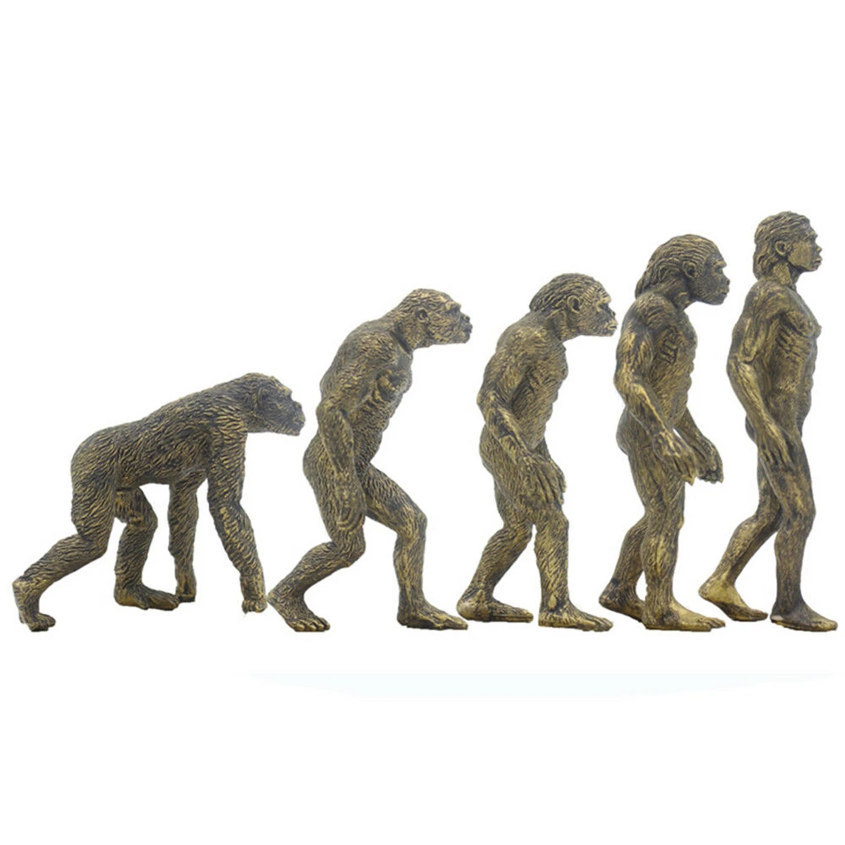 

Ramapithecus Australopithecus Homo Habilis Homo Erectus Ape Man Figure Educational Palaeobios Collector Toy Model