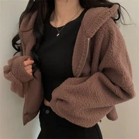 deeptown brown kawaii zip up crop top korean style zipper sweatshirt 2022 fashion winter warm casual hip hop long sleeve coat