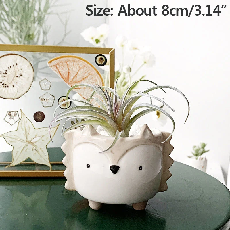 

Ceramic Succulent Flowerpot Creative Mini Garden Bedroom Desktop Animal Shaped Succulent Flowerpot Office Decoration