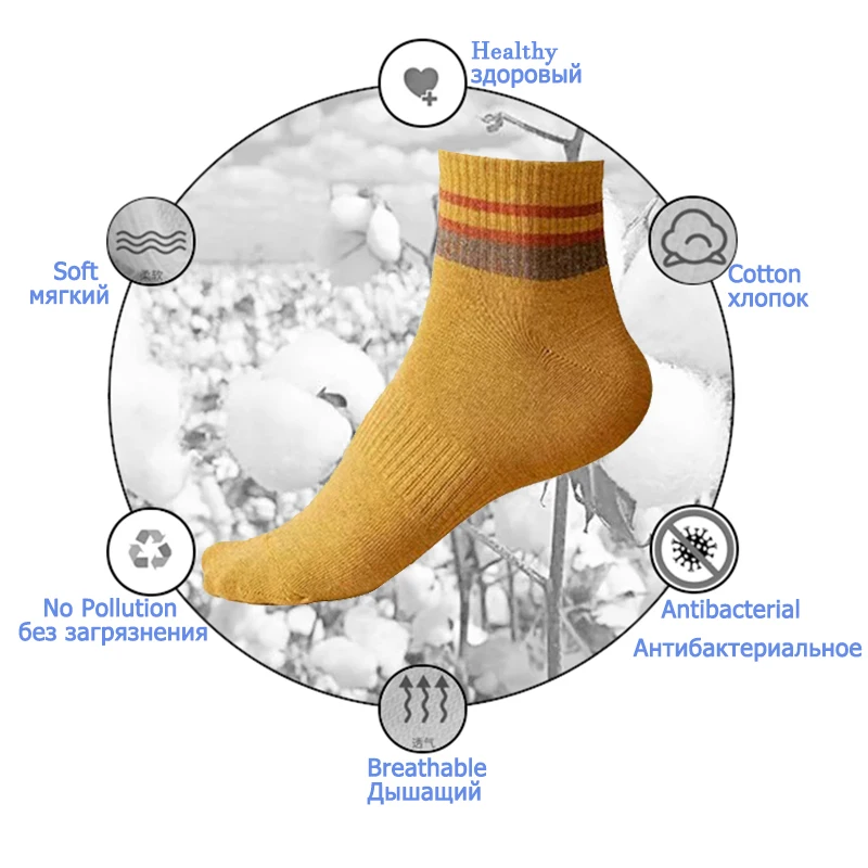 Рисунок 6 - Носки мужские однотонные хлопковые