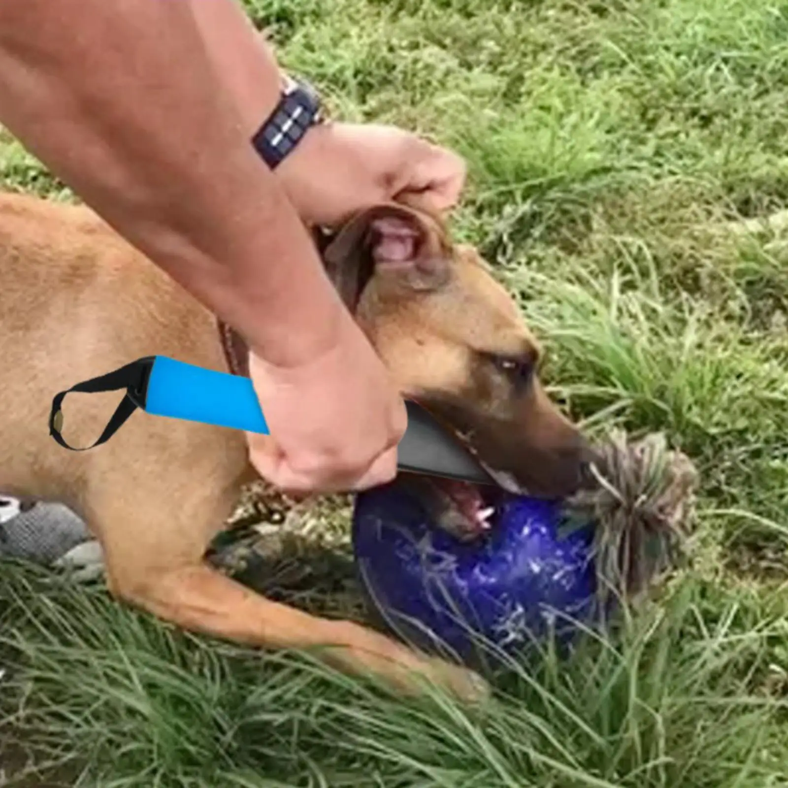

Dog Teething Crowbar Mouth Stick Dog No Bite Sticks Food Aggressions Protect Crowbar for Training Police Dogs Professional