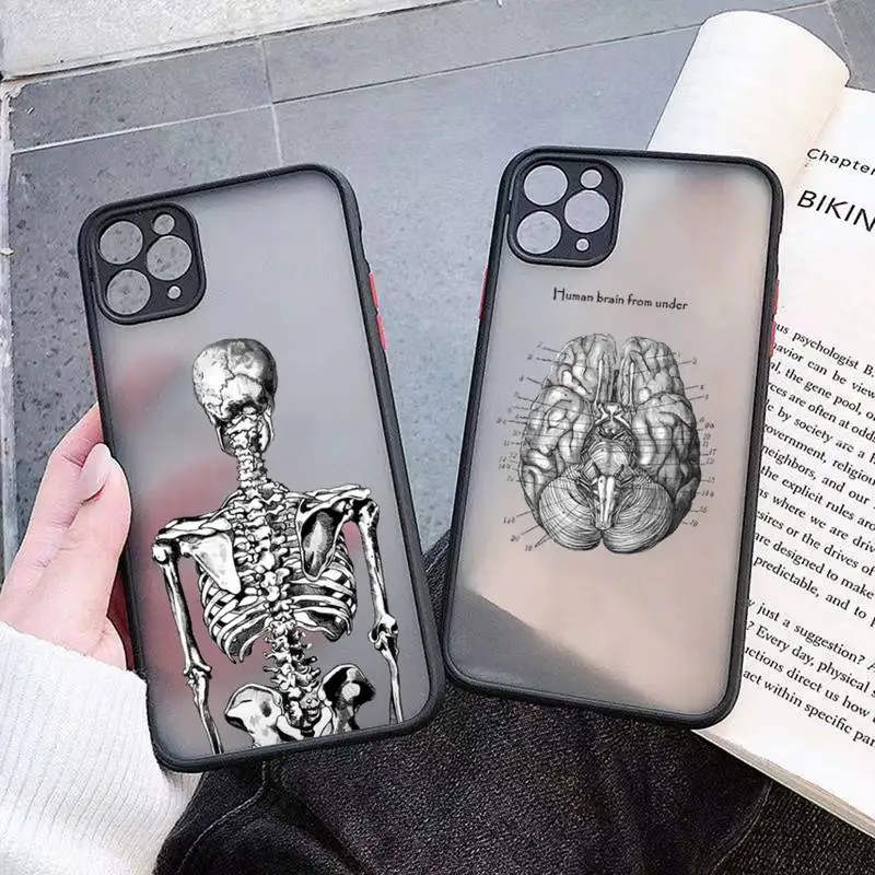 

Medical skeleton Anatomy pattern Phone Case matte transparent For iphone 11 12 13 7 8 plus mini x xs xr pro max cover