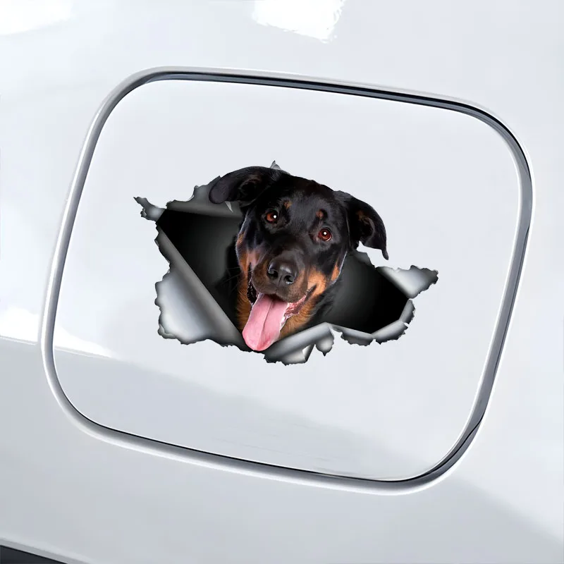 DK570 # Автомобильные наклейки Beauceron самоклеящаяся водонепроницаемая наклейка с