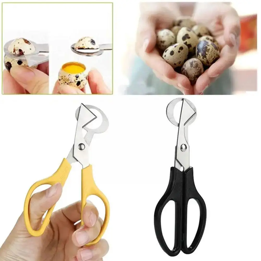 

Stainless Steel Egg Scissors Egg Topper Cutter Boiled Hand Open Egg Durable Kitchen Cutters Egg Tools Quail F2q4