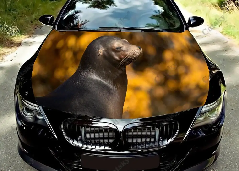 

Забавные виниловые наклейки на капот автомобиля с изображением животных-морского льва, виниловая пленка, наклейки на крышку двигателя, наклейки на автомобильные аксессуары