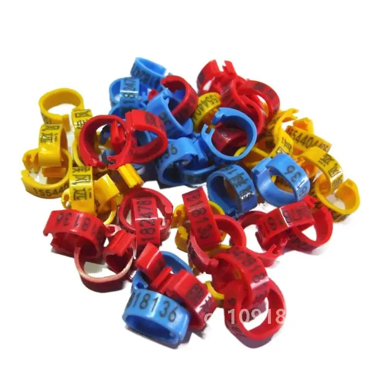 индивидуальные групповые продукты для голубей кольца птиц ленты