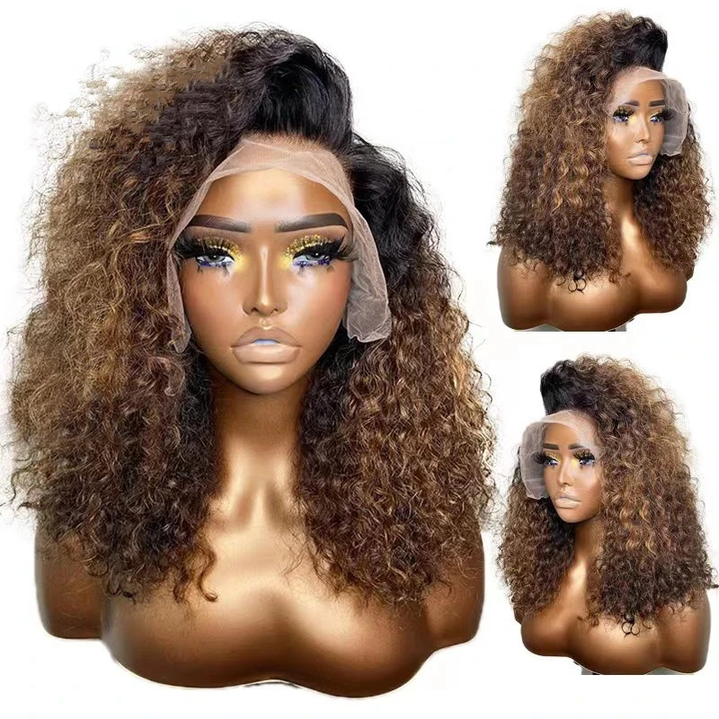 

200Density Kinky Curly Ombre Brown Lace Front Wig for Black Women BabyHair Glueless Preplucked 5X5 Closure Wig Peruvian Remy