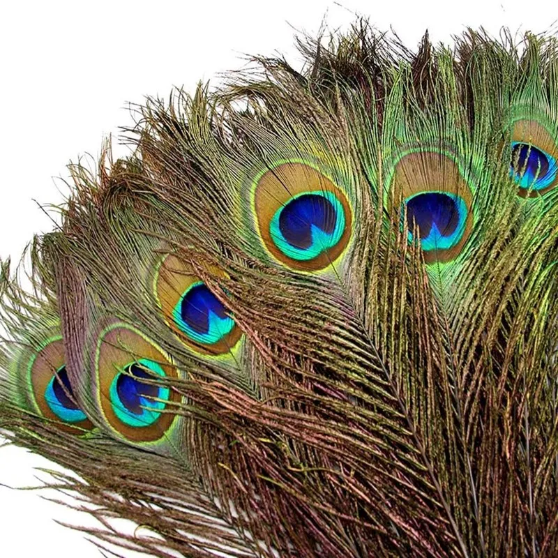 

10Pcs/lots High Quality Natural Peacock Tail Eyes Feathers 25-30cm for Crafts Hotel Vase Wedding Festive Event Home Decoration