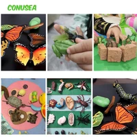 insect animals toys kids cognitive educational toys simulation mini duck frog butterfly growth cycle ornaments set toys