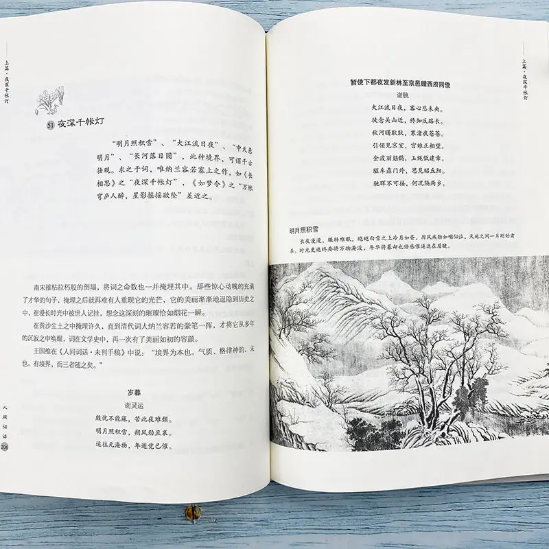 Рисунок 4 - Книга китайской классической литературы