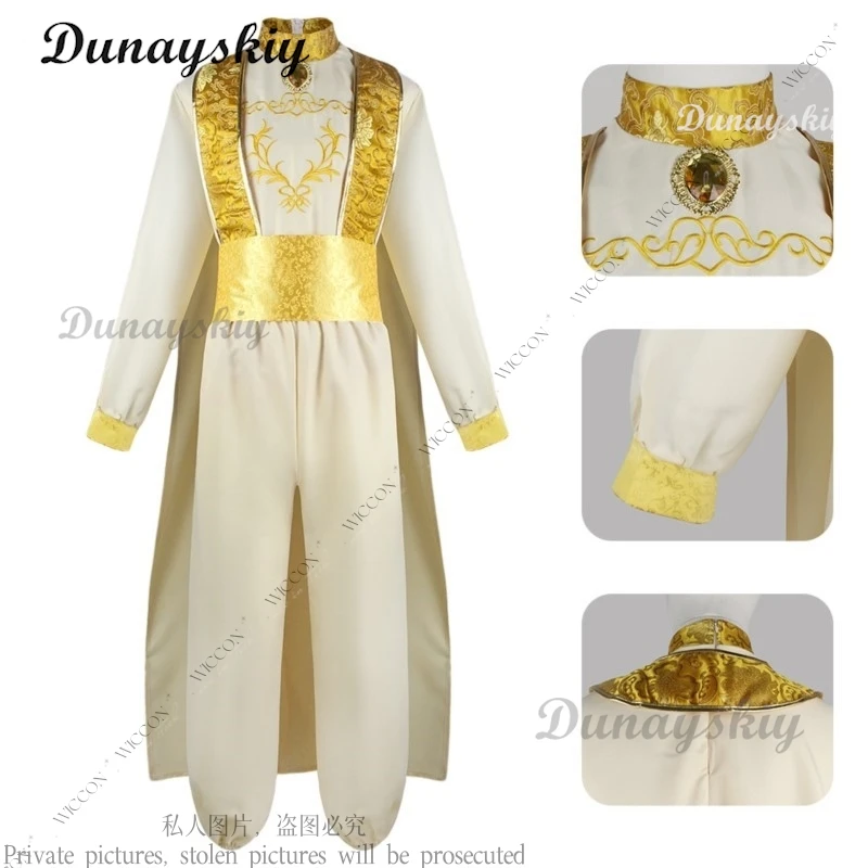 Аладдин Косплей Костюм Праздничная Вечеринка и Волшебная Лампа Арабские Ночи