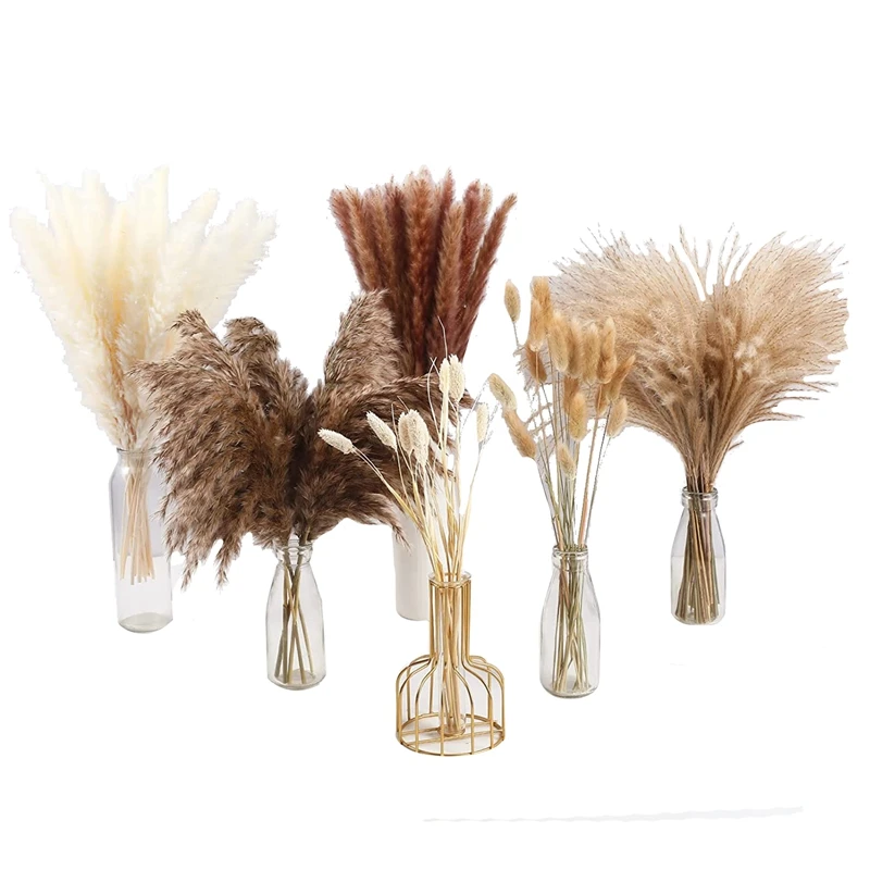 

100Pcs Dried Pampas Grass Decor,Natural Home Decor, Phragmites Dried Flowers, Fluffy Stem Bouquet For Home Wedding Boho