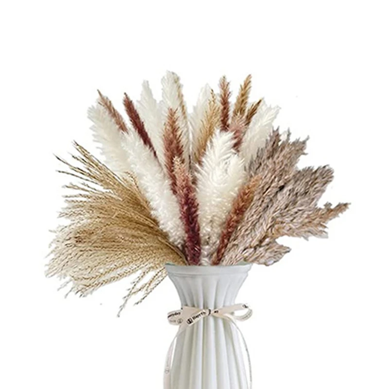 

75Pcs Natural White Brown Fluffy Pampas Grass Decor Plants Dried Pampas Grasses Branches Flower Reed Arrangement