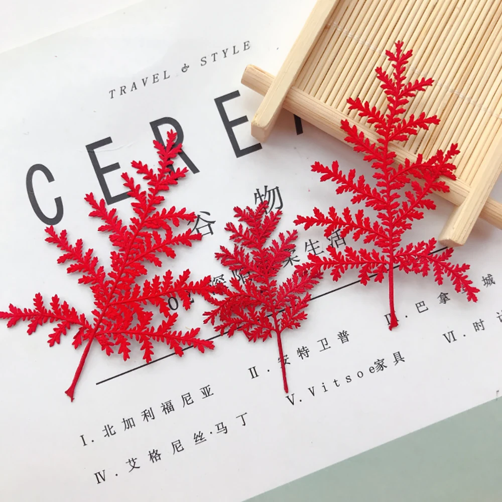 Artemisia Annua тисненые листья материалы для домашней фотосъемки DIY тиснение живопись