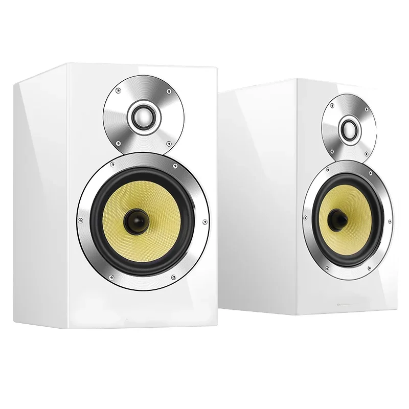 120 Вт 6 5-дюймовый полочный динамик Hi-Fi аудио лихорадка громкоговоритель система