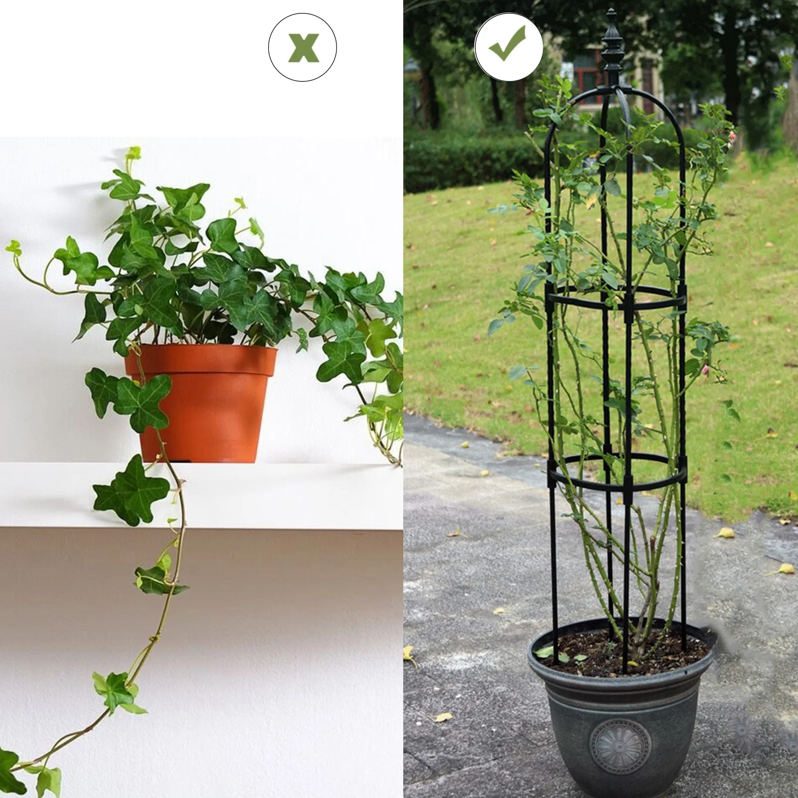 

Obelisk Plant Climbing Plant Vine Rack Plant Potted Support Frame Coated Steel Flower Vegetables Decorative Trellis Bracket