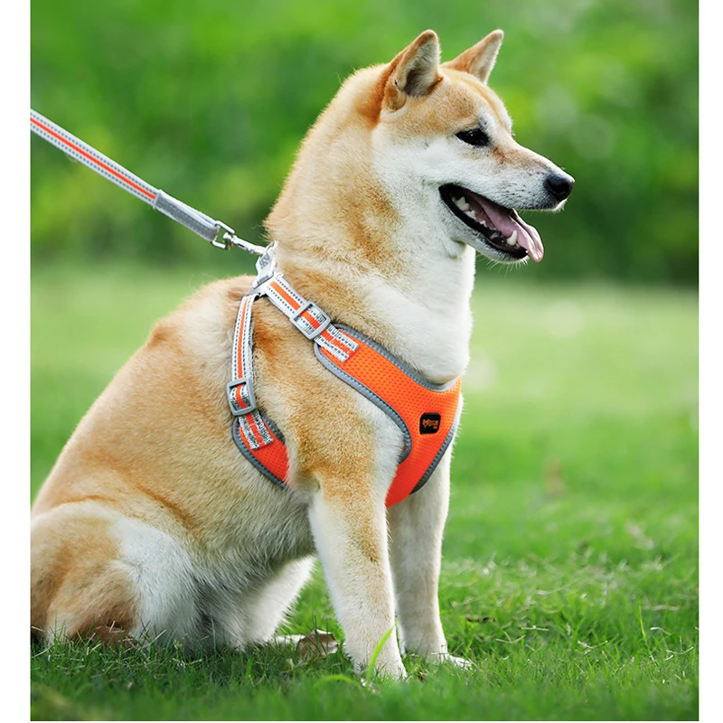 

Dog Traction Rope Dog Teddy Vest Collar Chest Strap Puppy Walking Chain Dog Supplies Dog Leash Pets Accessories Dog Collars